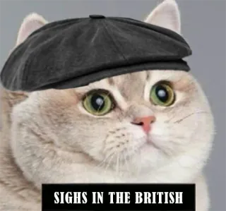 Вздох (@MrVeit) telegram stickers