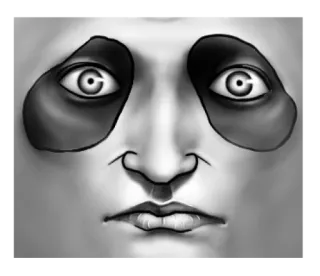 🥺 b420c39a 판다, 얼굴, 동물, 흑백, 눈, 포유류 telegram sticker