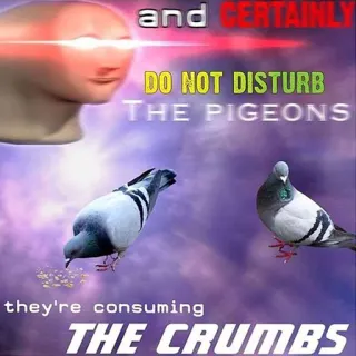 😠 01a4c31a and CERTAINLY
DO NOT DISTURB THE PIGEONS
they're consuming THE CRUMBS mème, pigeons, miettes, oiseaux, stonks, drôle, ne pas déranger telegram sticker