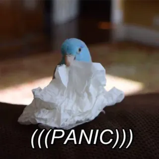 😰 140dcbb2 (((PANIC))) oiseau, panique, perroquet, oiseau bleu, anxiété, stressé telegram sticker