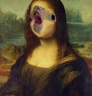 Random bird stuff whatsapp stickers