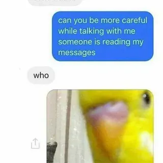 🐦 3afdf9b5 can you be more careful
while talking with me
someone is reading my
messages
who messages, attention, chat telegram sticker