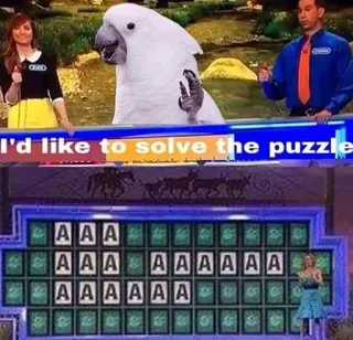 😱 5b63f0d0 I'd like to solve the puzzle Roue de la fortune, Puzzle, Jeu télévisé, Perroquet, Cacatoès, Télévision telegram sticker