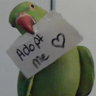 ❤ 5c0813b7 Adopt Me perroquet, adopt me, animal de compagnie, oiseau, animal, amour, coeur telegram sticker