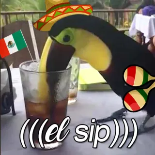 😊 b88d83b7 (el sip) toucan, boire, mexicain, sombrero, maracas, mexique, fun, fête telegram sticker