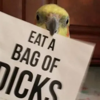 😡 b8e6ef0b EAT A BAG OF DICKS oiseau, cockatiel, offensant, insulte, argot telegram sticker