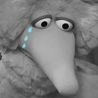 Random bird stuff telegram stickers