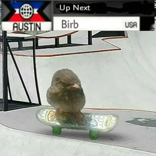 🤙 e239683f AUSTIN Birb USA oiseau, skateboard, animal, mignon, skate telegram sticker