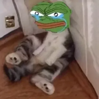 📎 ef96ce5a Pepe the Frog pepe, rana, piangere, triste, meme di internet, gatto telegram sticker