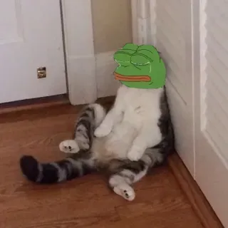 📎 f433a41e Pepe the Frog gatto, Pepe, rana, triste, meme telegram sticker