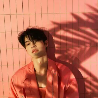 ⚡️ 564d84b4 pessoa, homem, modelo, retrato, rosa, sombra, asiático, brilhante telegram sticker