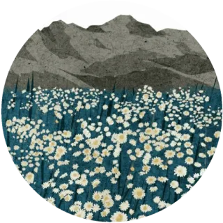 🌸 334866db pemandangan, gunung, bunga, ladang, alam, ilustrasi, pemandangan whatsapp sticker