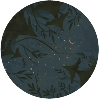 🌸 8cffcb71 malam, bintang, bulan sabit, kelelawar, daun, gelap, langit, alam whatsapp sticker