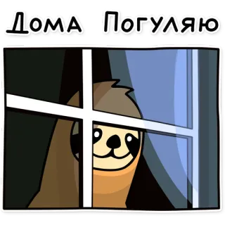 🏠 26e68ce7 ДОМА ПОГУЛЯЮ Faultier, Fenster, Zuhause bleiben, Süß, Tier telegram sticker