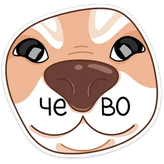 ❓ 15762ebb ЧЕ ВО 犬, ステッカー, ロシア, ミーム telegram sticker