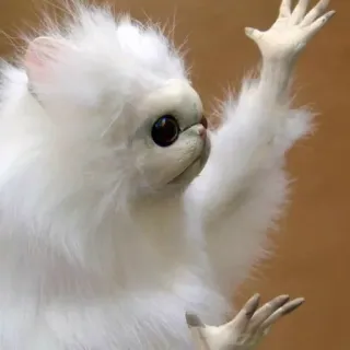 😄 6c6c09c2 makhluk, aneh, anjing, fantasi telegram sticker