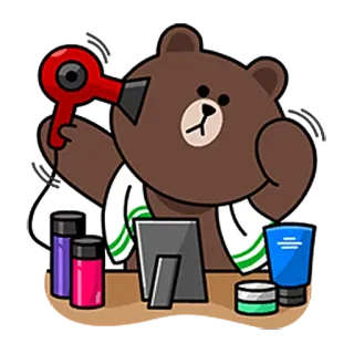 ☺️ b3ef96e7 Brown Bear gấu, máy sấy tóc, chăm sóc, dễ thương, gương, khăn tắm telegram sticker