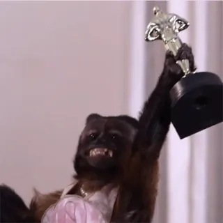 π 0837d3a8 monkey, award, animal, celebration telegram sticker