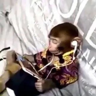 π§ 1c04832c monkey, headphones, tablet, animal, reading, cute telegram sticker