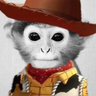 π§Έ 26be1281 Woody Toy Story monkey, cowboy, hat, costume, sheriff, toy telegram sticker