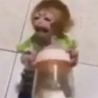 π 43a311c7 monkey, baby, animal, sad telegram sticker