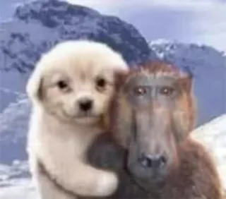 πΆ 59ee58f9 dog, puppy, baboon, animal, friendship, mountains telegram sticker