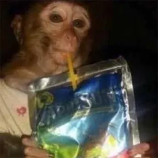 π§ 95ca48be monkey, juice box, animal, funny, meme telegram sticker