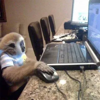 πΎ f84ca8d0 monkey, computer, laptop, office, animal telegram sticker