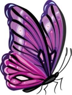 🦋 6ab6b40c ผีเสื้อ, สีม่วง, ปีก, แมลง, ธรรมชาติ, สีสัน telegram sticker