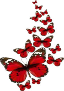 🦋 93f48b4e ผีเสื้อ, สีแดง, แมลง, ธรรมชาติ, สัตว์, ความงาม telegram sticker