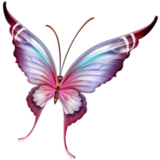 🦋 a312dca7 ผีเสื้อ, แมลง, ปีก, ธรรมชาติ, สีสัน, สีม่วง, สีชมพู telegram sticker