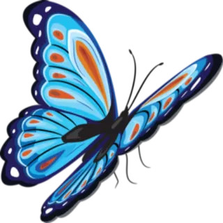 🦋 b5a6bfca ผีเสื้อ, แมลง, ธรรมชาติ, สัตว์, สีน้ำเงิน, สีส้ม, ปีก telegram sticker