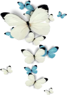 🦋 d44364d4 ผีเสื้อ, แมลง, สีขาว, สีฟ้า, ธรรมชาติ, น่ารัก, สวย, บิน telegram sticker