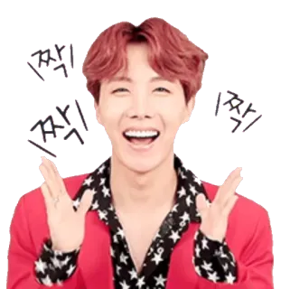 😂 cbbb9bad J-Hope 짝! J-Hope, BTS, K-pop, singer, Korean, fan, sticker telegram sticker