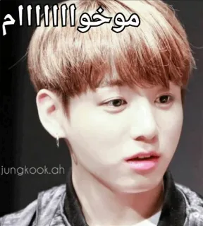 😀 a4dabed4 Jungkook موخو اااااااام KPOP, ジョングク, 不適切な表現, ミーム telegram sticker