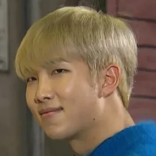 😐 0188328d RM kpop, idol, cantante, bangtan, bts, música, pop, masculino, persona telegram sticker