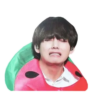 😩 5f92223c V kpop, v, スイカ, 泣く, 悲しい, bts telegram sticker