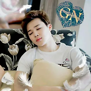 😴 afeb45c2 GN slapen, kussen, veren, man, GN, Goedenacht telegram sticker