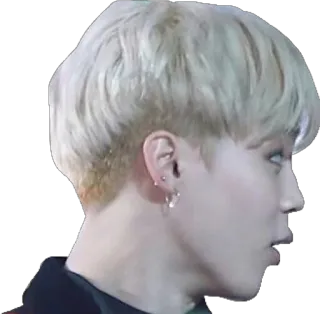 😮 8bd13367 telegram sticker