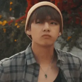 🎋 3132c24d whatsapp sticker