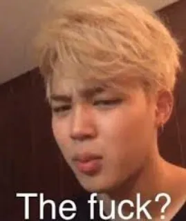 😂 596f4050 The fuck? Meme, Uitdrukking, Vraag, Ongelovig, Geschrokken telegram sticker