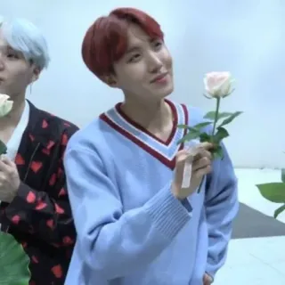 🌸 e1dfd058 J-Hope kpop, musique, BTS, idol, chanteur, fleur whatsapp sticker