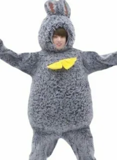 🐰 a1e7af20 rabbit, costume, animal, furry, easter, bunny whatsapp sticker