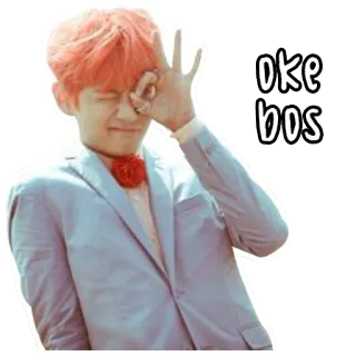 👌 a77ae530 oke bos autocollant, k-pop, ok, ça va, boss, mème telegram sticker