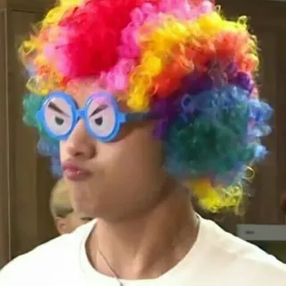 🍁 6964b6a6 klaun, peruka, okulary, śmieszne, portret, osoba, kolorowy whatsapp sticker