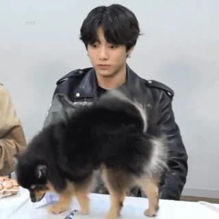 @Kimxtete ›› bts mood telegram stickers