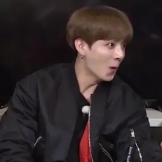 🦚 17f6f134 whatsapp sticker