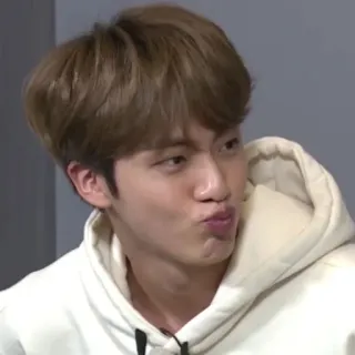 🦚 2002d856 Jin kpop, bts, idol, cantor, coreano, entretenimento whatsapp sticker