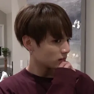 🦚 685f7759 whatsapp sticker