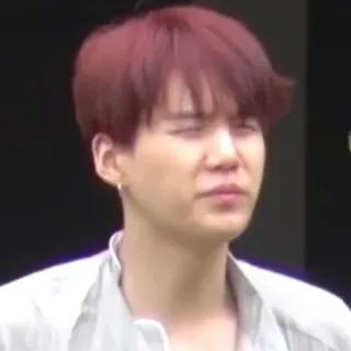 🦚 99c8ca4c whatsapp sticker